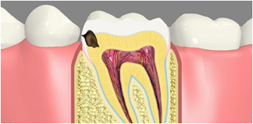 Cosmetic Dentistry Fords NJ